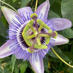 Meet your Posher, Lydia